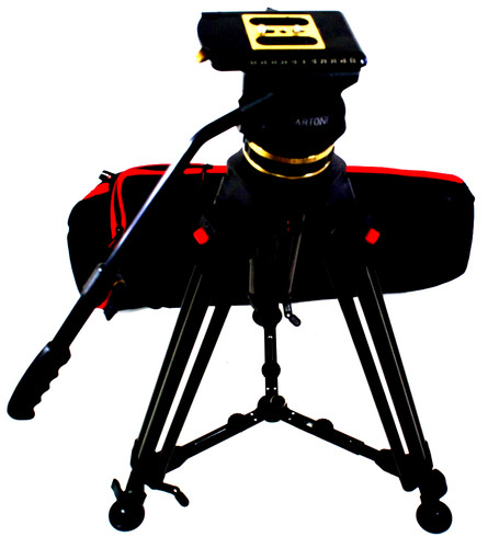 Cartoni gamma head da - head,