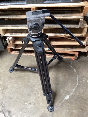 Cartoni delta fluid - cartoni, with